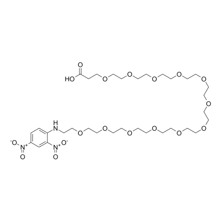 DNP-PEG12-acid